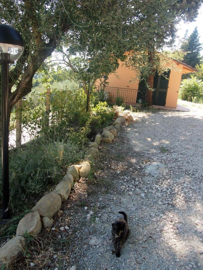 Agriturismo Ardizio 43 Pesaro Kültér fotó