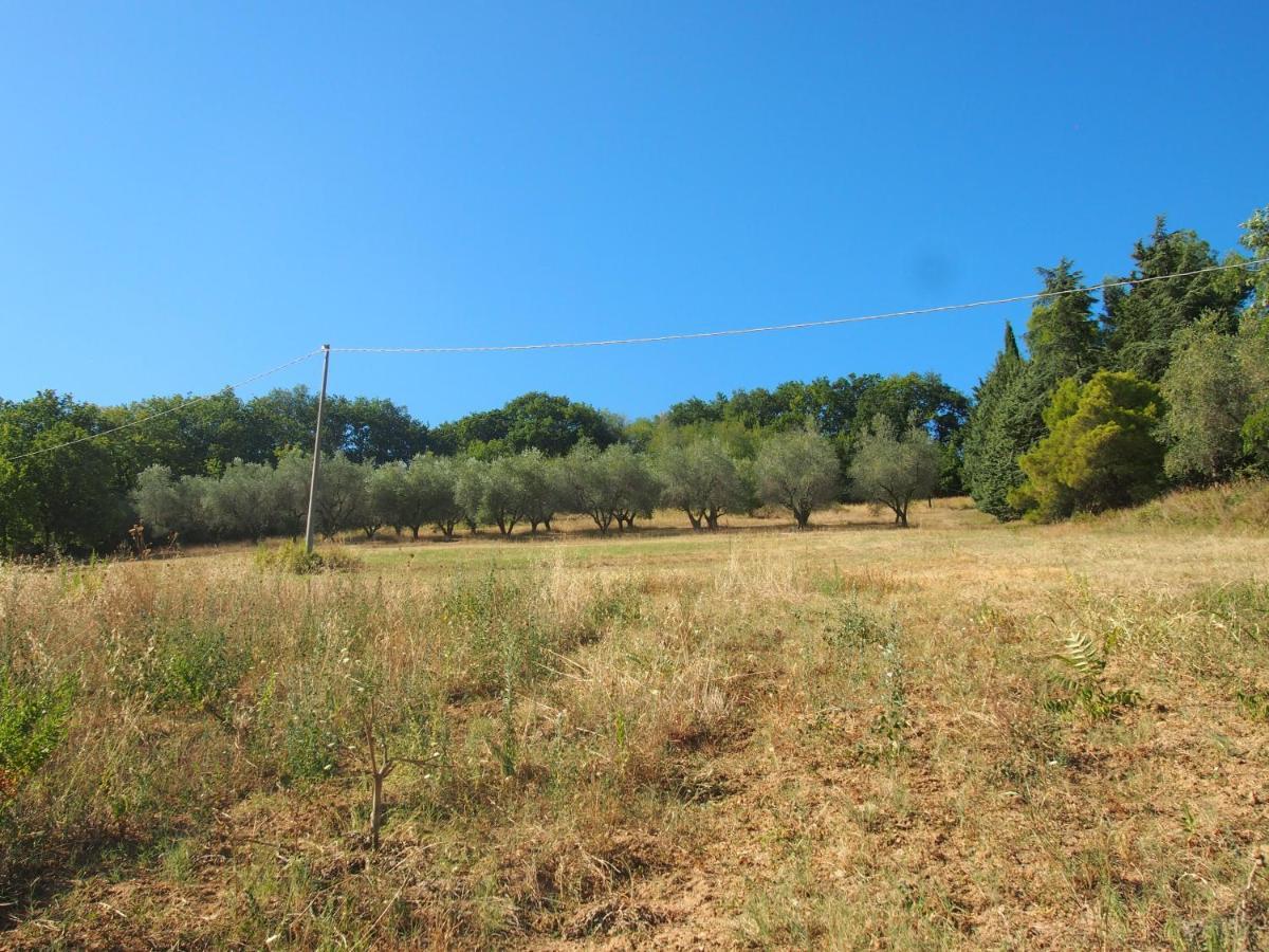 Agriturismo Ardizio 43 Pesaro Kültér fotó