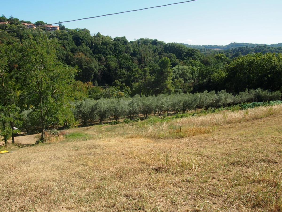 Agriturismo Ardizio 43 Pesaro Kültér fotó